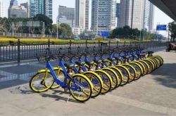 共享單車的印度崛起：東方不亮西方亮？